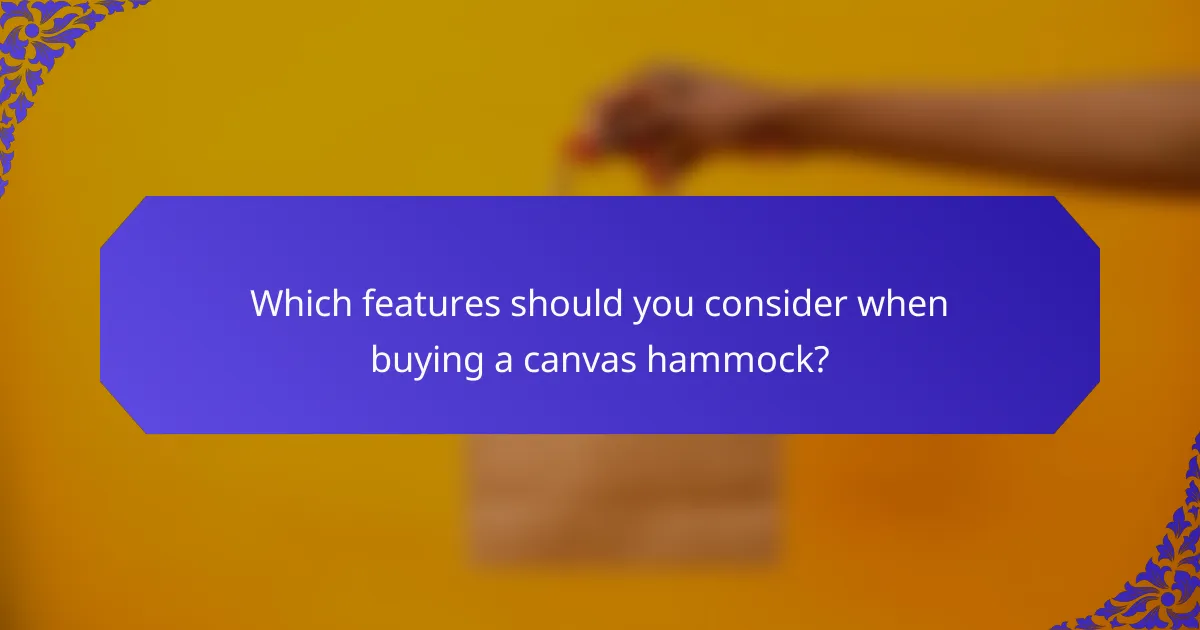 Which features should you consider when buying a canvas hammock?